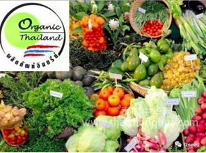 阿披拉迪 推動有機農產品走出國門，讓泰國土特產香飄世界